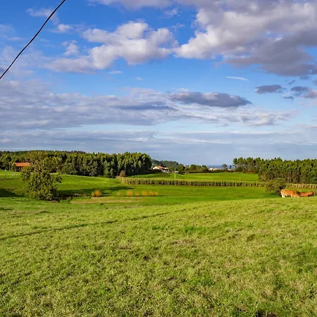 Apto Amarillo - Casa El Gaitero